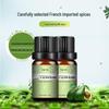 Car Aroma Crystal Pendant Perfume Set - Essential Oil Fragrance & Deodorizing Diffuser Refill