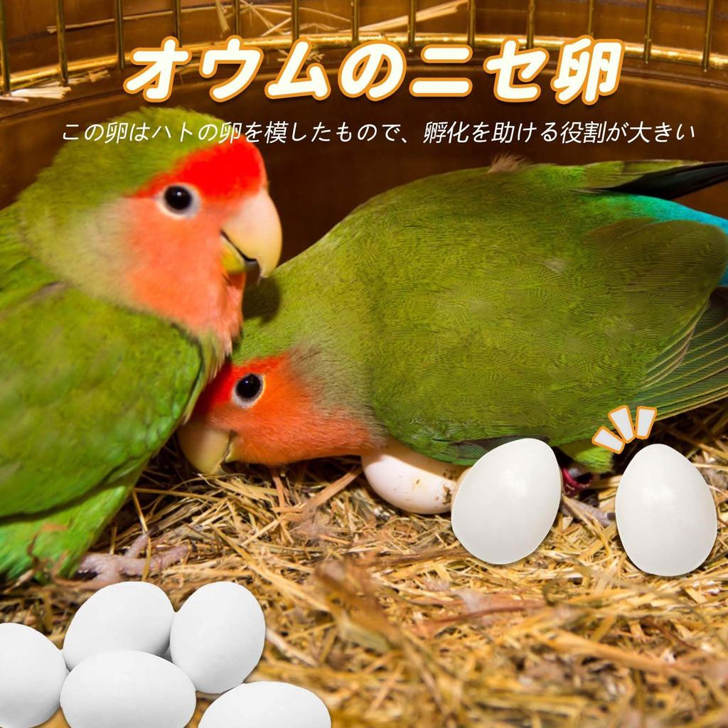 PAVIKE Fake Bird Set of for Fake Chicken Pigeon Breeding Artificial Egg Food Fake Dummy Eggs for and Parakeets Eggs, Toys, 4, Parakeets, Eggs,