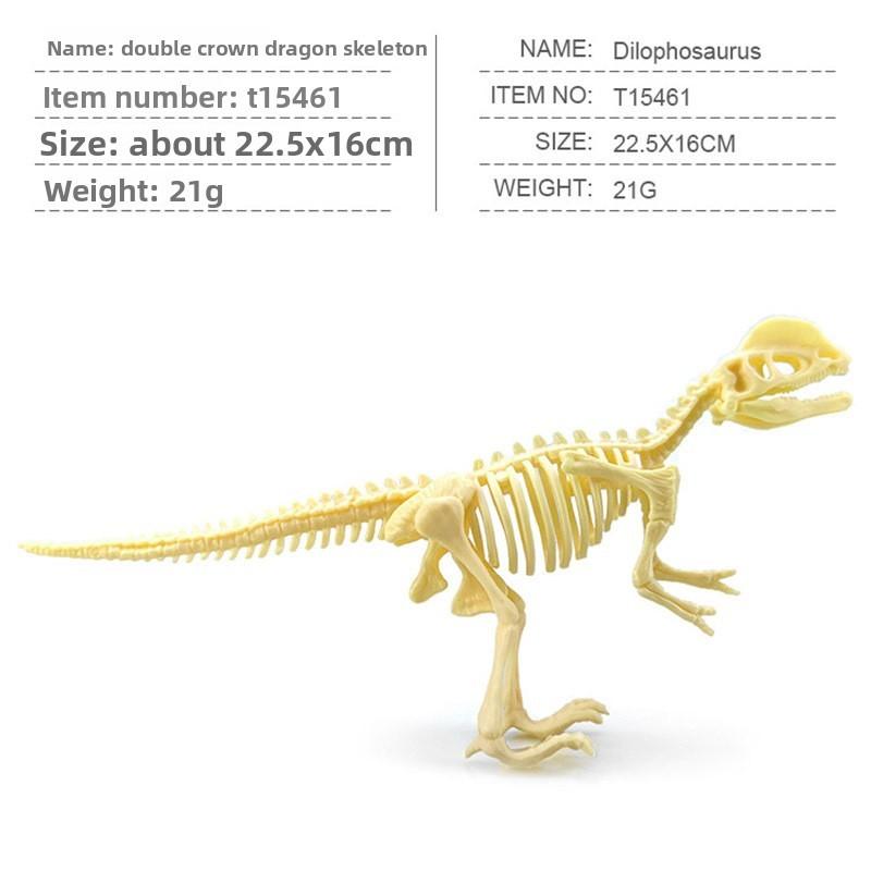 Fossil Skeleton Dinosaur Model With Plastic Material For Kids Decor Educational