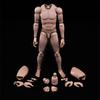 12-inch Male Body Figure, Muscular Male Body Model, Fits 16 Head Sculpt (M)