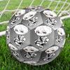 BlueLock Theme Size 5 Soccer Ball, Suitable for Both Indoor and Outdoor Matches, a Gift Suitable for Everyone.