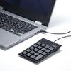 Sanwa Supply NT-23CBK Wired Numeric Keypad, USB Type-C Connection, Silent Keys, Pantograph, Black