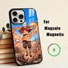 Avatar The Last Airbender  Phone Case For iPhone17,16,15,14,13,12,11 Plus,Pro Magnetic with Magsafe Wireless Charging