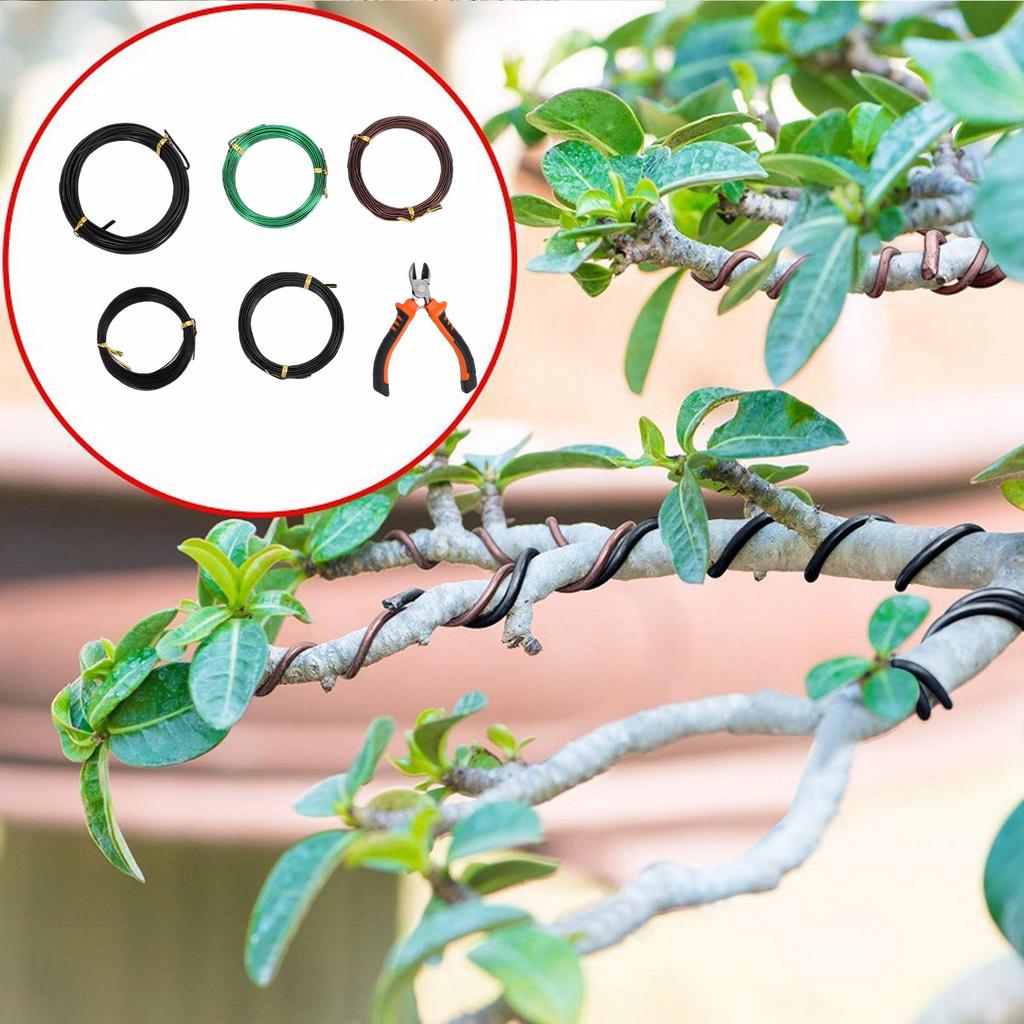 5 Roll Aluminum Bonsai  Ing Wires with Wire Cutter 1.0mm 1.5mm 2.0mm Size for  S Indoor Garden   Tools
