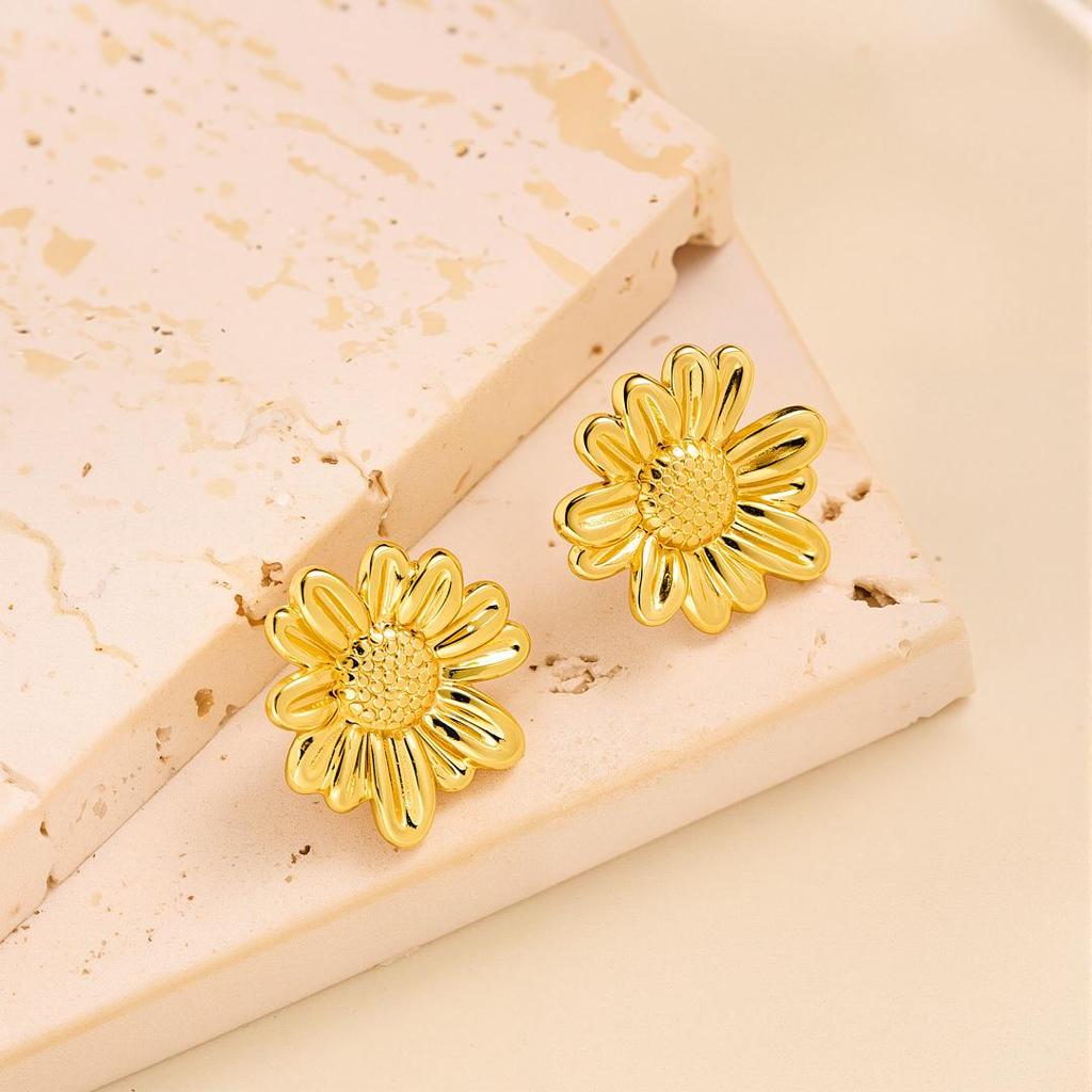 Geometric Irregular 18k Gold Titanium Steel Earrings for Women