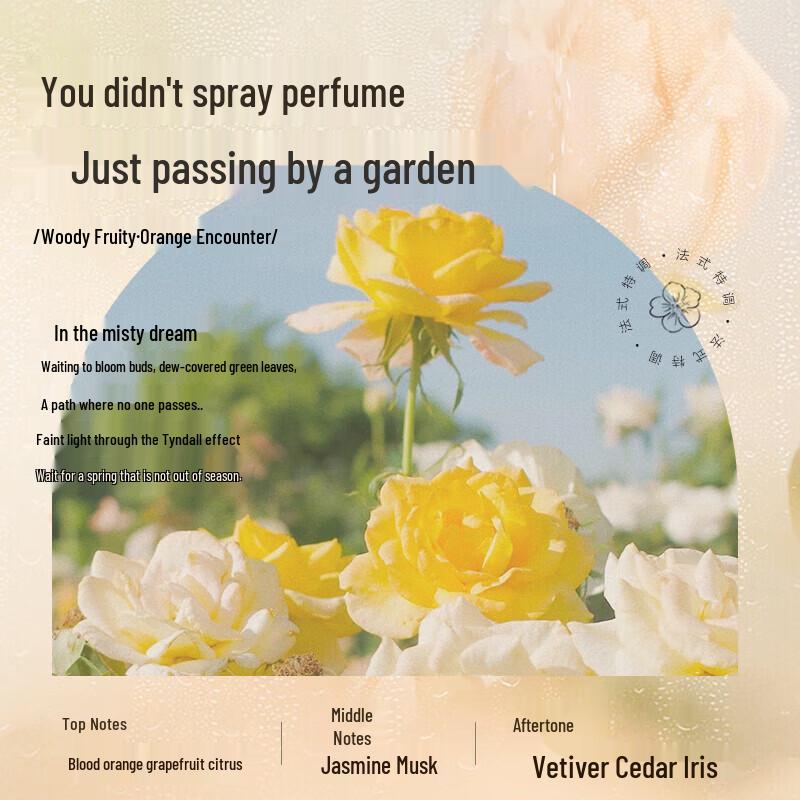 Seagilon Smooth & Repair Shampoo