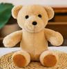 Dr. Teddy Graduation Plush Bear - Customizable Souvenir Doll with Logo