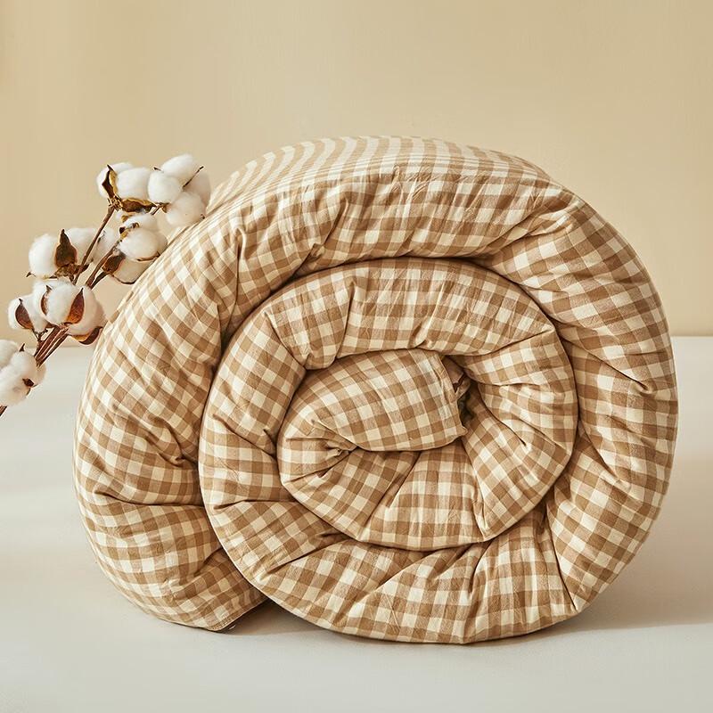 Hmhm Class A Xinjiang Cotton Blend Quilt