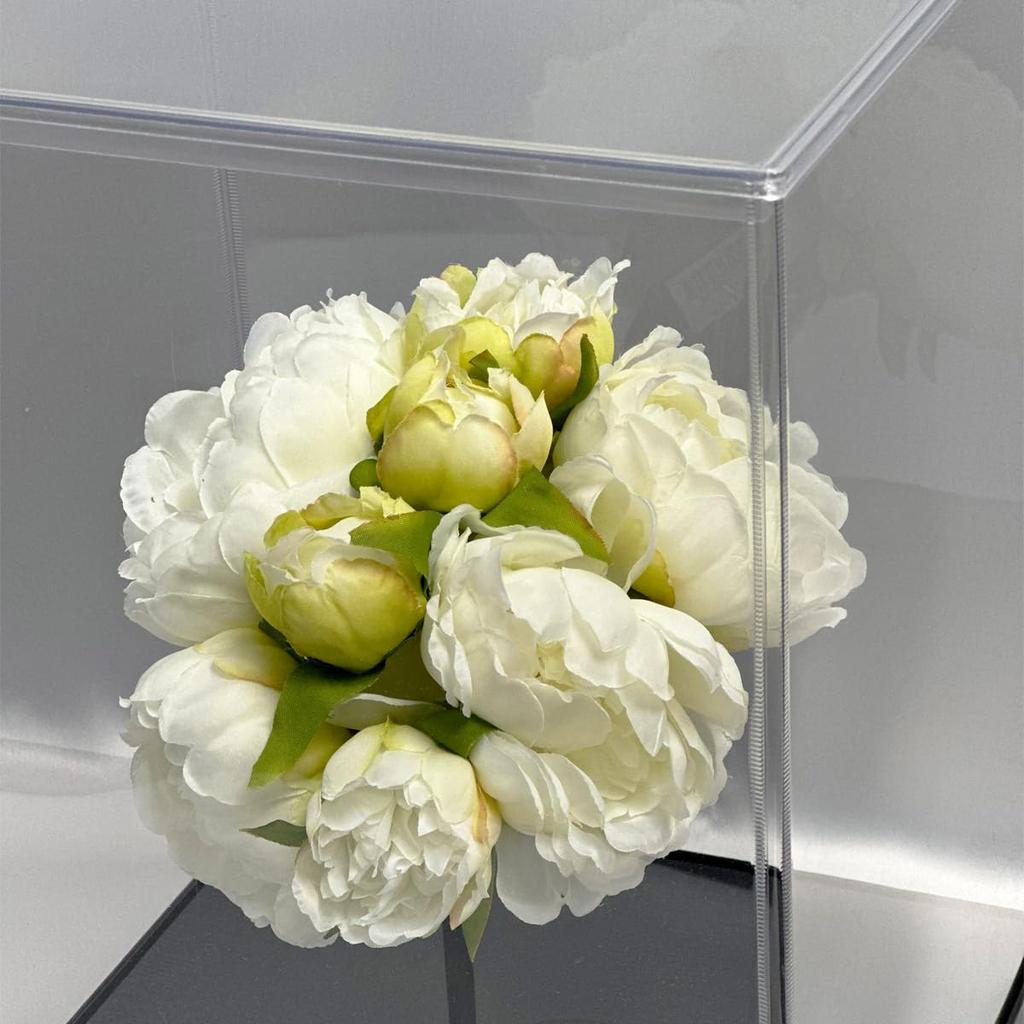 Fairyland Box Collection Case, Square Base, Width 32cm, Depth 32cm, Height 32cm