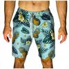 Beach Shorts Youth Hawaiian Shorts Mesh Swim Trunks Slim L