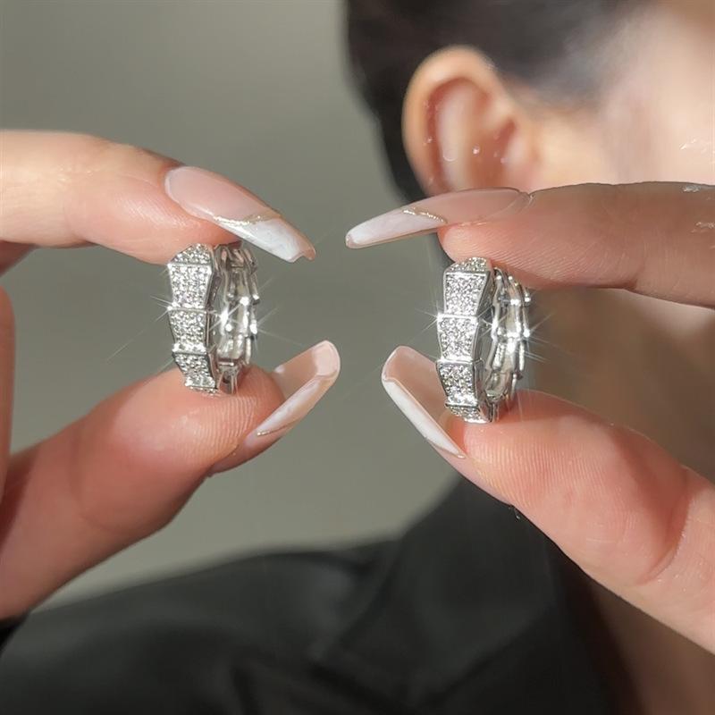 Silver needle zircon curved snake winding stud earrings niche design earrings earrings