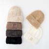 Korean New Winter Hat for Women's Big Head Wing Letter Wool Hat Imitation Mink Hair Autumn and Winter Warm Knit Hat Trend