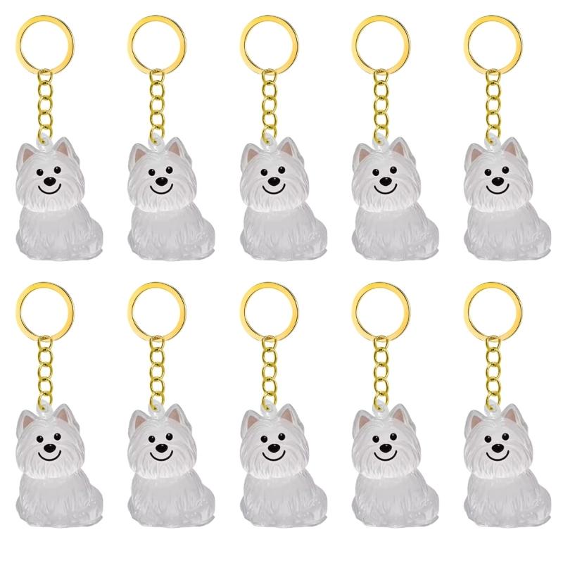 2/3/4/5/10 Pezzi Portachiavi Memoriale per Animali Domestici Con Raccoglitore Peli Trasparente Regalo Perfetto Per Proprietari di Gatti e Cani in Lutto Portachiavi Ricordo