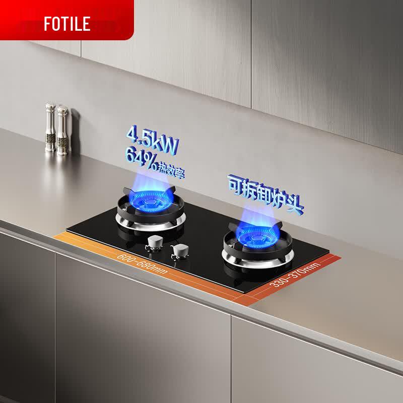 FOTILE TX22 Series LPG Dual Burner Gas Stove CN plug (adapter included)