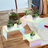 3/6Pcs Acrylic Riser Display Shelf Rainbow Iridescent Countertop Desktop Acrylic Display For Decoration And Organization