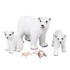 5pcs Simulation Animal Model Simulation Polar Bear Growth Ornament Children Cognitive Growth Cycle A