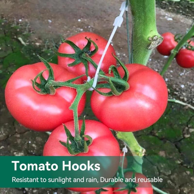 20 Stück Tomatenstütz-J-Haken Kunststoff-Pflanzenkletterranken-Clips Gartenstützhaken für Gewächshaus Freilandlandwirtschaft