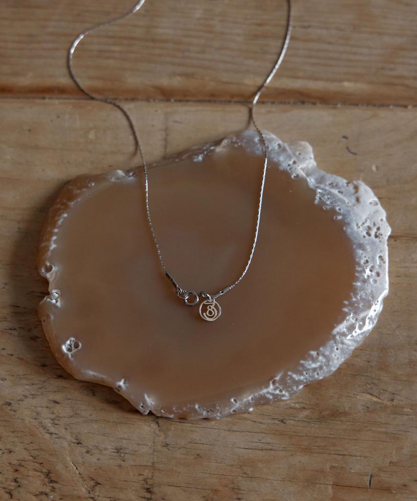 38Comeoncommon Slim Glow Surgical Necklace (Silver)
