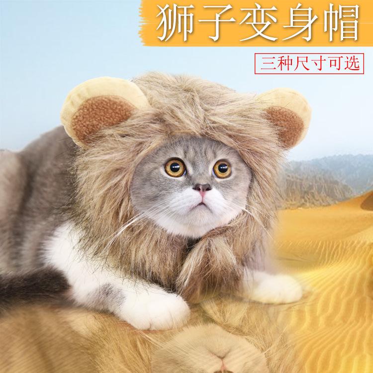 Lion Transformation Halloween Pet Dog Dog Cat Hat Velcro Adjustable Supplies Clothes Autumn and Winter