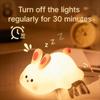 Niedliches LED Nachtlicht Panda Schaf Hase Silikon Nachtlichter Timing USB Wiederaufladbar Für Schlafzimmer Dekoration Kinder Geburtstagsgeschenk