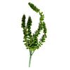 Planta Suculenta Artificial Colgante Realista de Mimbre Sintético para Decoración del Hogar