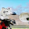Niedliche Plüschtier-Golfschläger-Kopfhauben Für 1/3/5 Driver Schützen Golfschläger Vor Kratzern Modisch Und Schön