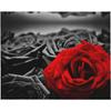 Black White with Red Rose Floral Flannel Throw Blanket Soft Romantic Flower Blanket for Sofa Bedroom Valentine Decor