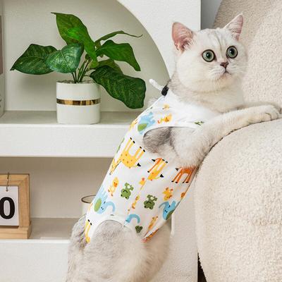 Eisenwand Freunde Katze Kastrationsanzug L