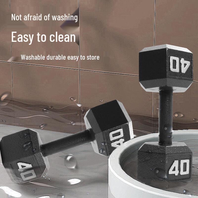 PROIRON Cast Iron Dumbbell Set