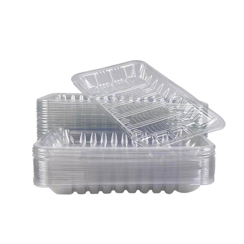Disposable Rectangular Food Packaging Tray