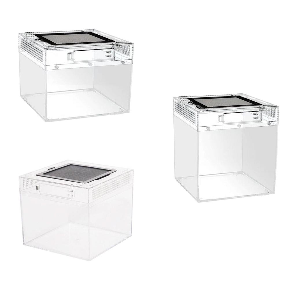 Reptile Terrarium Container Ventilation Clear Breeding Box Habitat for Jumping Lizards Scorpions Iguana Bearded Dragon