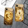 Golden Eagle Head For IPhone 17Pro Max 16 17 Pro 15 P ro 14 13 Plus 12 Mini 11Pro Max XR 16E 17 Air Golden glass phone case