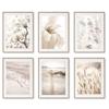 Begonia Beach Reed Feather Wall Art Nordic Posters And Prints Canvas Painting Wall Pictures For Living Interior Room Mural Decor
