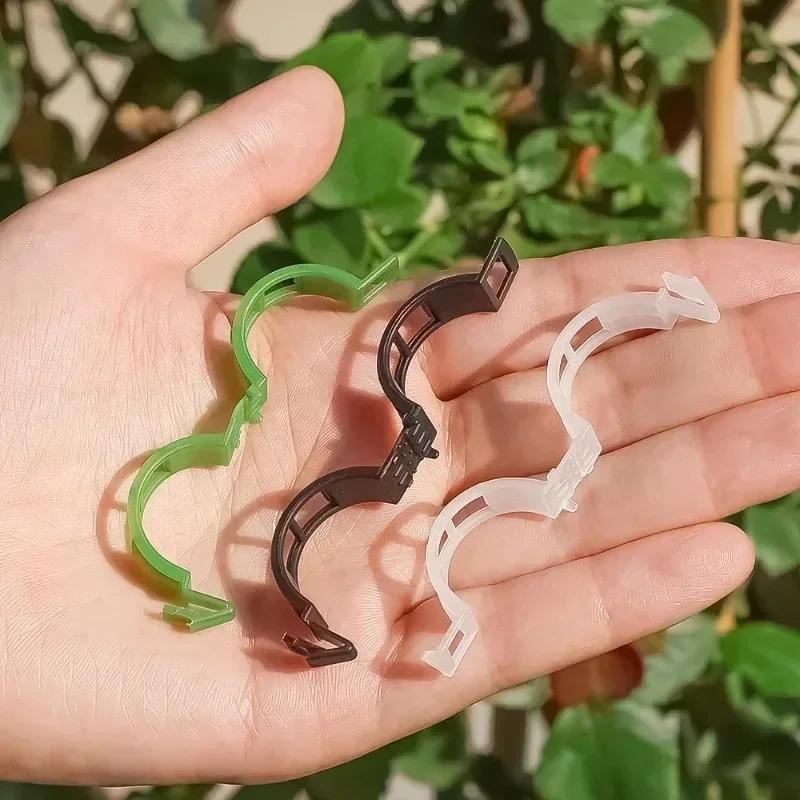 Planteclips Støtter Gjenbrukbar Plast Kobler Feste Vinstokk Tomatstilk Poding Grønnsaksplanter Frukthage og Hageverktøy