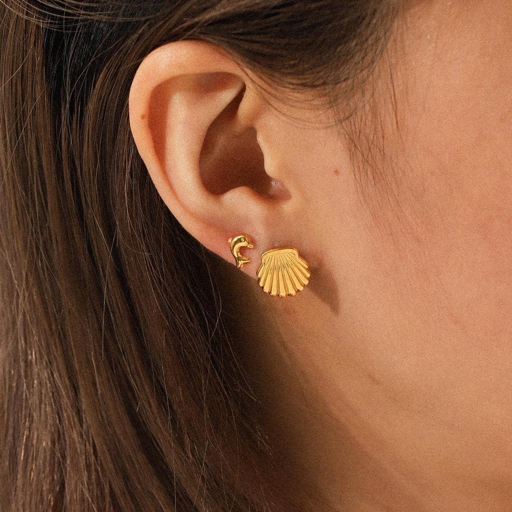 Luxury Set: Stainless Steel Pearl Stud, Dolphin Shell, Titanium Steel Earrings