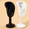 New Portable Earring Display Stand Mini Showcase Ear Studs Organizer Ear Shaped Organizer Earrings Holder Rack
