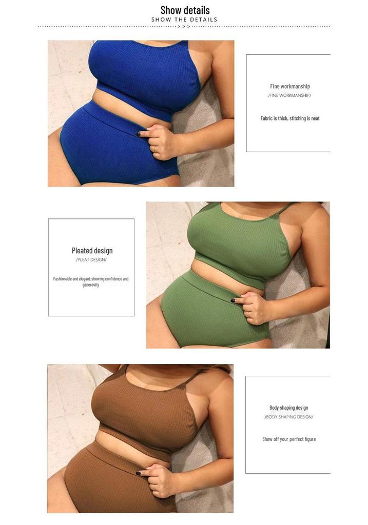 2026 Plus Size European & American High Waist Neck Tie Bikini Swimsuit for Women