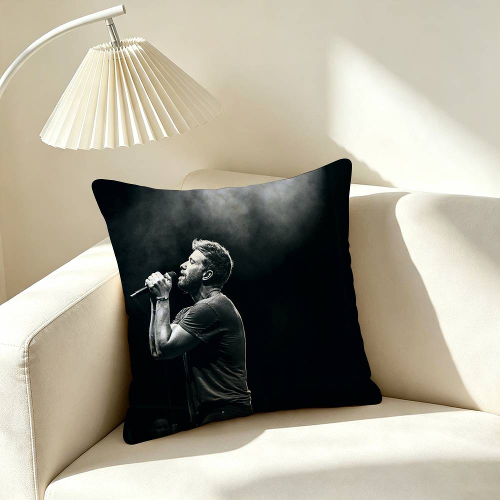 P-Pablo Alboran Pop Singer Square Double-Sided printed Pillow Case Bedroom Bedside Pillow Sofa Cushion Cover