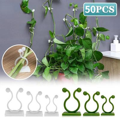 50 Stück Kletterpflanzen Wandclip Rattan Schnalle Haken Rattan Streifen Clip Selbstklebender Befestiger Pflanzenhalter Unsichtbare Halterung