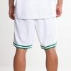 Nike Nba Boston Celtics Association Edition Swingman Dri FIT Shorts AJ5586-100