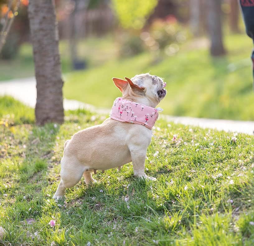 RTREGH Dog Cool Neck Cool Heatstroke Heat Cool Snood Neck Cooler with Ice Summer Pet Supplies for Dogs and and Large 2 (Libra) Band, Prevention,