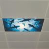 Underwater World Shark Bedroom Living Room Study Ceiling Beautification and Decoration Stickers