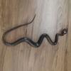Yousheng Realistic Fake Rubber Snake Toy, Lifelike Snake Model with Tongue-Out, Simulated Snake for Halloween Party Gag, Bird Deterrent, Garden