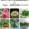 Plant Nutrition Slow-Release Sticks for Potted Flowers and Green Plants