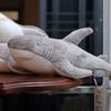 Simulation Stuffed Sharks Doll Sea Animal Grey Shark Plush Sharks Plush Toys  Home Decor