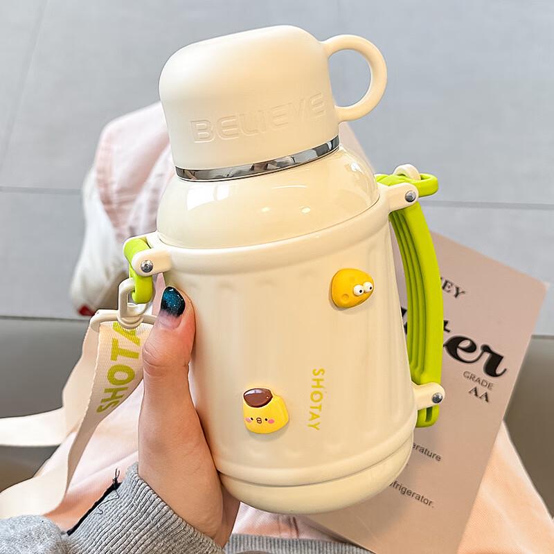 TLAKEHO 800ml Insulated Water Bottle