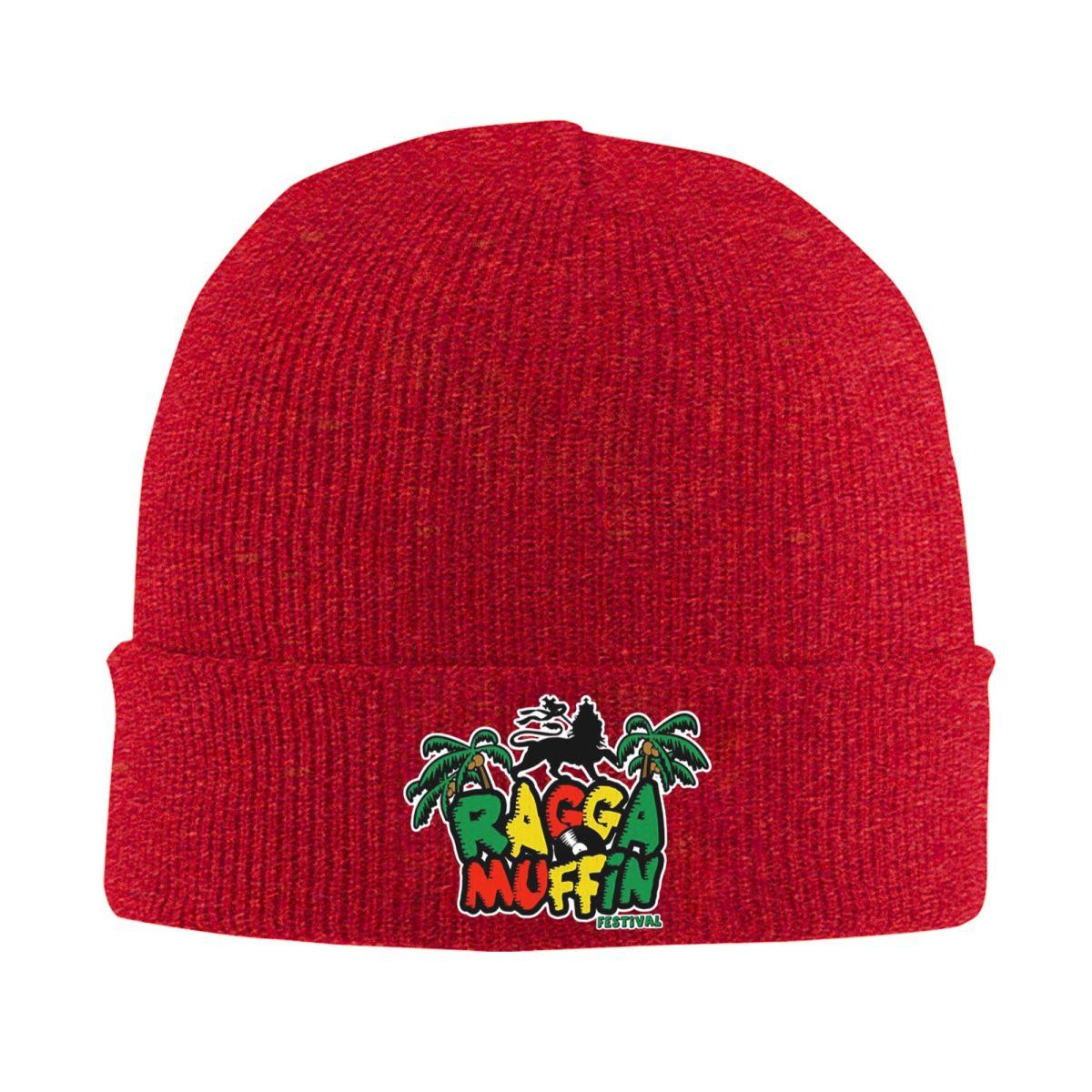 Rasta Lion Of Judah Star Of David Warm Knitted Cap Winter Knit Bonnet Hat Skullies Beanies Hip Hop Caps for Unisex One Size