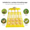 24 Eggs Incubator 12V 110V 220V Egg Tray Eggs Turning Automatic Egg Hatching Incubator for Quail  Goose Duck Bird Poultry