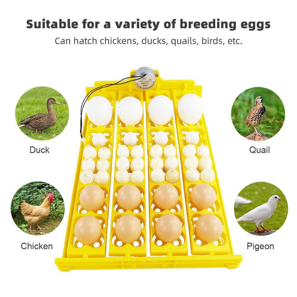 24 Eggs Incubator 12V 110V 220V Egg Tray Eggs Turning Automatic Egg Hatching Incubator for Quail  Goose Duck Bird Poultry