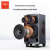 Aigo S308 8-inch Portable Bluetooth Karaoke Speaker CN Plug (adapter Included)